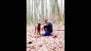 Fit mit Hund 🐕 am der frischen Luft/ Walking running Fun....