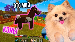 КТО-ТО УКРАЛ МОИХ ЖИВОТНЫХ В МАЙНКРАФТ | ПРИРУЧИЛА КОНЯ В MINECRAFT