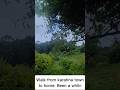 Waliuza Shamba Letu Nilieda Oshago Nikapata Shamba Haiko 
