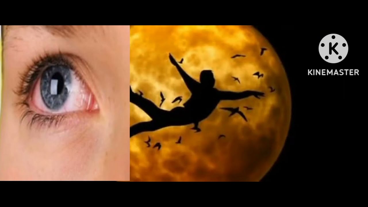 🛑በህልም #አይን፣#መብረር፣#ባስ፣#ጠጅ እና ሌሎችም #የበርካታ ህልሞች ፍቺ✍️