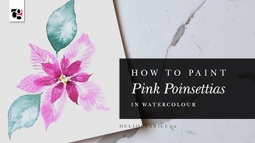 How to Paint Pink Poinsettias in Watercolour - Hello Clarice Tutorials