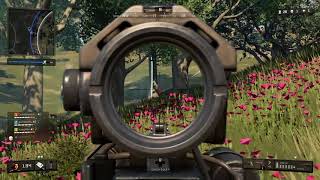 BEST SNIPES Call of Duty Black Ops 4 Blackout Beta!