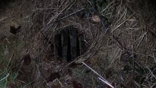 Georgian Drain Access Shaft, Isle Of Wight