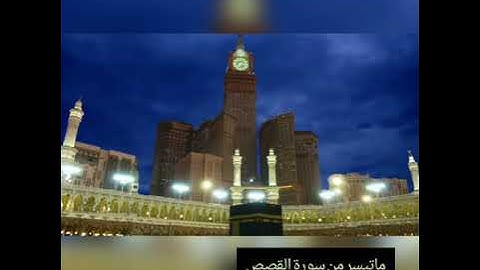 ماتيسر من سورة القصص بصوت الشيخ قاسم أبو السِعِد