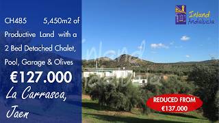 127K, Rural Chalet + Land of 5,450m2 Pool, Garage Property  for sale in Spain inland Andalucia CH485