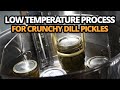 Low Temperature Process for Crunchy Dill Pickles