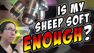 Is My Sheep Soft Enough Why Micron Count Matters -- Untwisted [Episode 9]