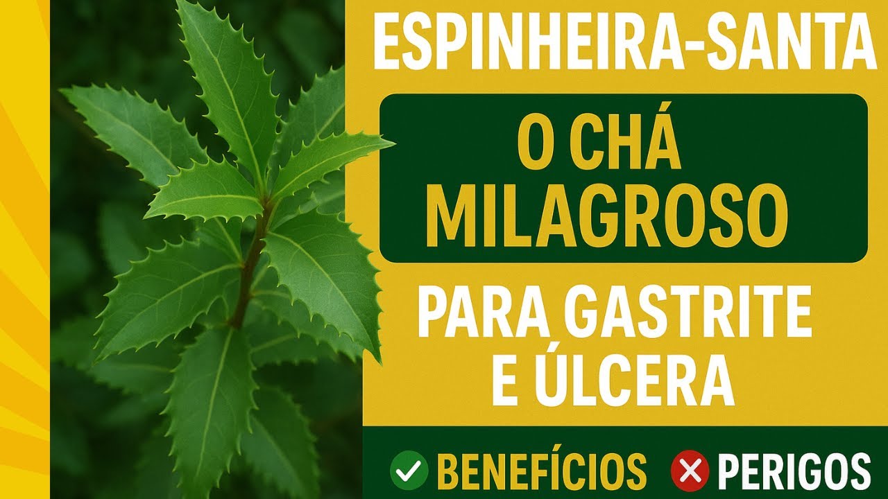 🌿 "Espinheira-Santa: O Chá Milagroso Para Gastrite e Úlcera ...