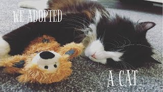 WE GOT A CAT! ADOPTING FROM THE RSPCA - VLOG 10