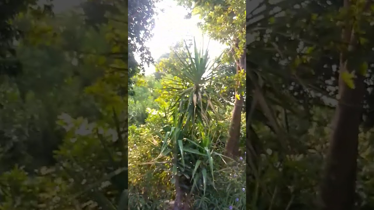 mashallah sbha ka mosam ktna piyara h aj 