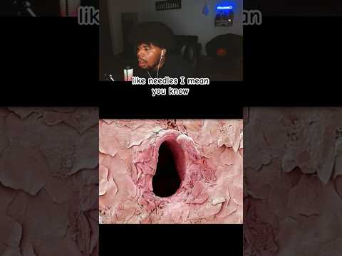 What Human body