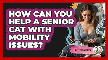 How Can You Help A Senior Cat With Mobility Issues? - Happy Cat Handbook