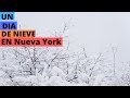 UN DIA DE NIEVE  EN NUEVA YORK