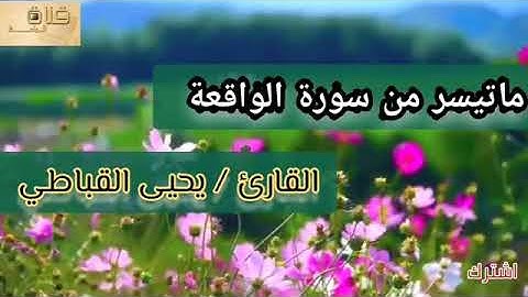 ماتيسر من سورة الواقعة للقارئ يحيئ القباطي إمام مسجد معاذ صنعاء