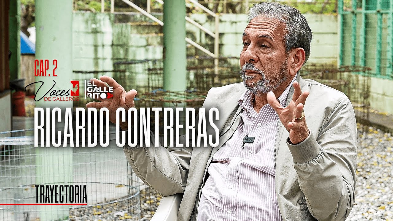Ricardo Contreras Trayectoria, Experiencia y Visión del Gallerismo Dominicano  Parte 2