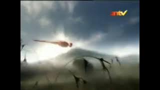 Gudang Garam Nusantara - Dragonfly (2004-05)