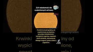 kawa to syfon, miałem rację?