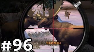 Region 31 - Alaska Sunny Day! Deer Hunter 2017 screenshot 5