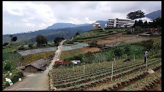 INSTRUMENTAL LANGGAM CAPING GUNUNG PENGANTAR TIDUR