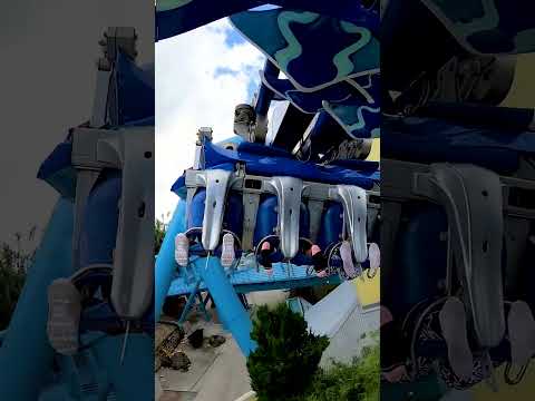 تصویری: مانتا - بررسی SeaWorld Orlando's Flying Coaster