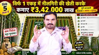 खेती से लाखों कमाओ | 1 एकड़ का पूरा प्लान | 342 पौधे = ₹3,42,000? पूरा Calculation समझिए | #safeda