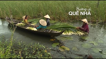 MỜI QUÝ VỊ VỀ CÀ MAU NHẬU ĐẶC SẢN | VÕ ĐẮC DANH - LÃO NÔNG XẺO LÁ