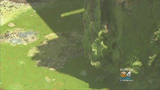 Florida Governor DeSantis Signs Off On Major Water Policy Reforms