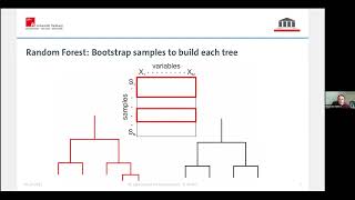 Classification and characterization of food with Random Forest approaches