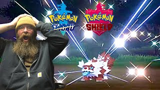 Pokémon Sword and Shield - Shiny Galarian Zigzagoon - Random Encounter Live Reaction