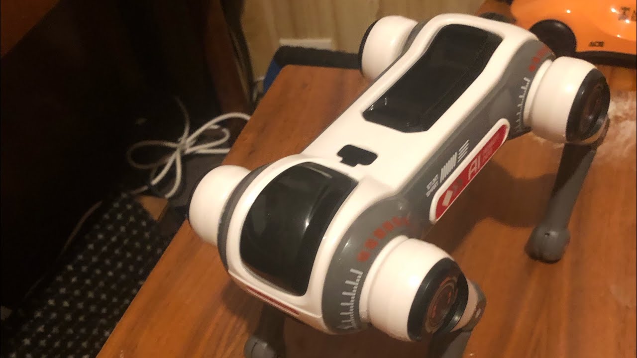 ou AI Robot dog show😂 