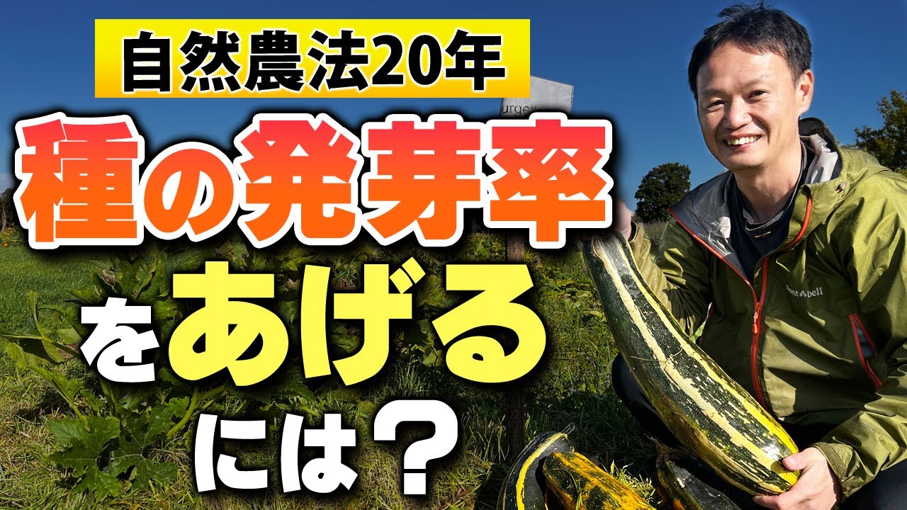 【自然栽培275】発芽率アップ！種まきで注意すること！