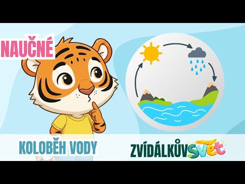 Kam zmizí voda?! + Kvíz pro děti| Koloběh vody| pro děti| video pro děti 