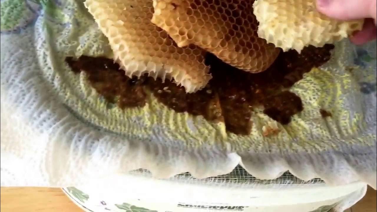 How to Filter Beeswax YouTube