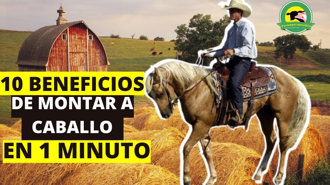 10 BENEFICIOS De MONTAR a CABALLO🐴 En Tan Solo UN MINUTO🕑|PasionPecuariaRD