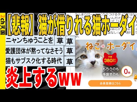 [2ch funny thread] [Sad news] Cat-rental service Nekohodai comes under fire lol Listening to it /...