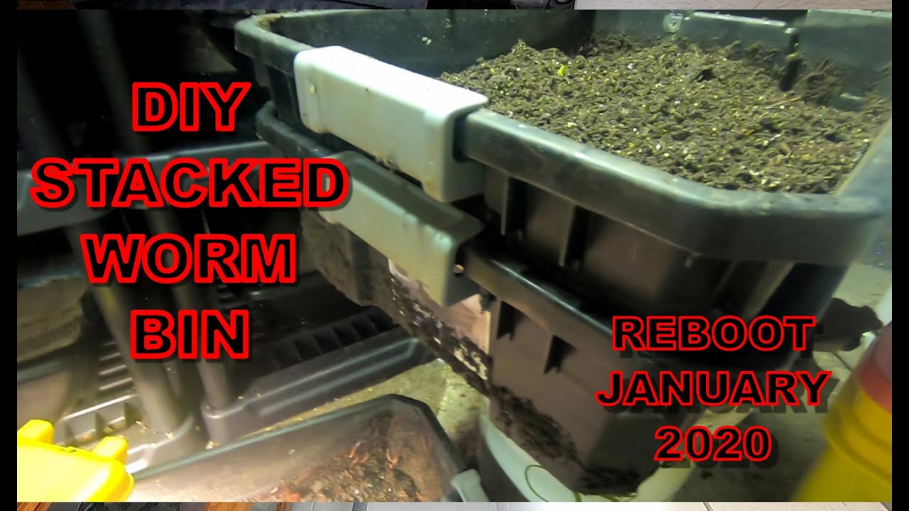 DIY STACKED COMPOST WORM BIN REBOOT JAN 2020 - YouTube