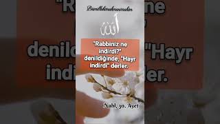 Ahiret Yurdu Ise Daha Hayırlıdır