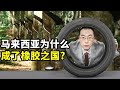 【懂点儿啥】马来西亚是怎么成为橡胶之国的？