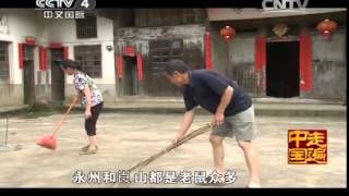 20140807 走遍中国 自然探秘（4）崀山：胜境遇仙草