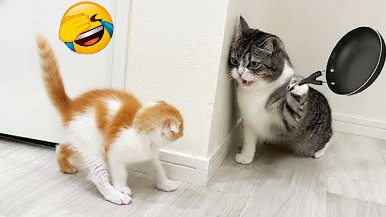 瞬時にあなたの一日を明るくする面白い動物たち 😆