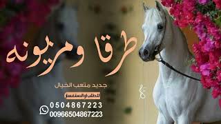 شيلات رقص 2023 شيله طرقا ومزيونه | اداء صوت الفخامه متعب الخيل حصريآ