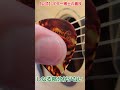 【公式】ギター博士の裏技「ピックを横に持って弾くと...?」#1