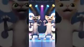 dancing cat
