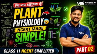 Plant Physiology Part 2 🔥 | Class 11 NCERT Simplified | NEET 2026 | Aniket Sir VSI