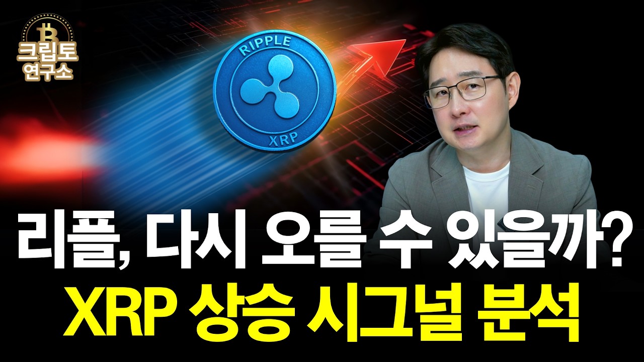 리플, 다시 오를 수 있을까? XRP 상승 시그널 분석 | 박작가의 크립토연구소