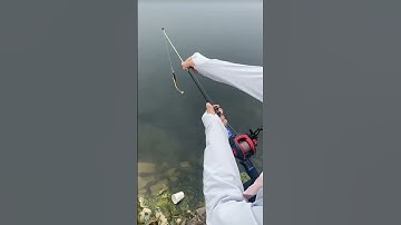 Cần câu lure rút gọn 33cm, 1,8m câu cá đến 8kg #fishing #shorts