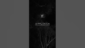 "ولو شئنا لآتينا كل نفس هداها" صوت هادئ للقارئ عبدالرحمن مسعد ❤