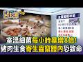 室溫細菌每小時暴增8倍！醫曝豬肉生食「2寄生蟲」恐鑽腦引發心肌炎【東森醫起看】