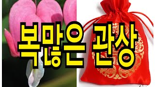 복있는 관상