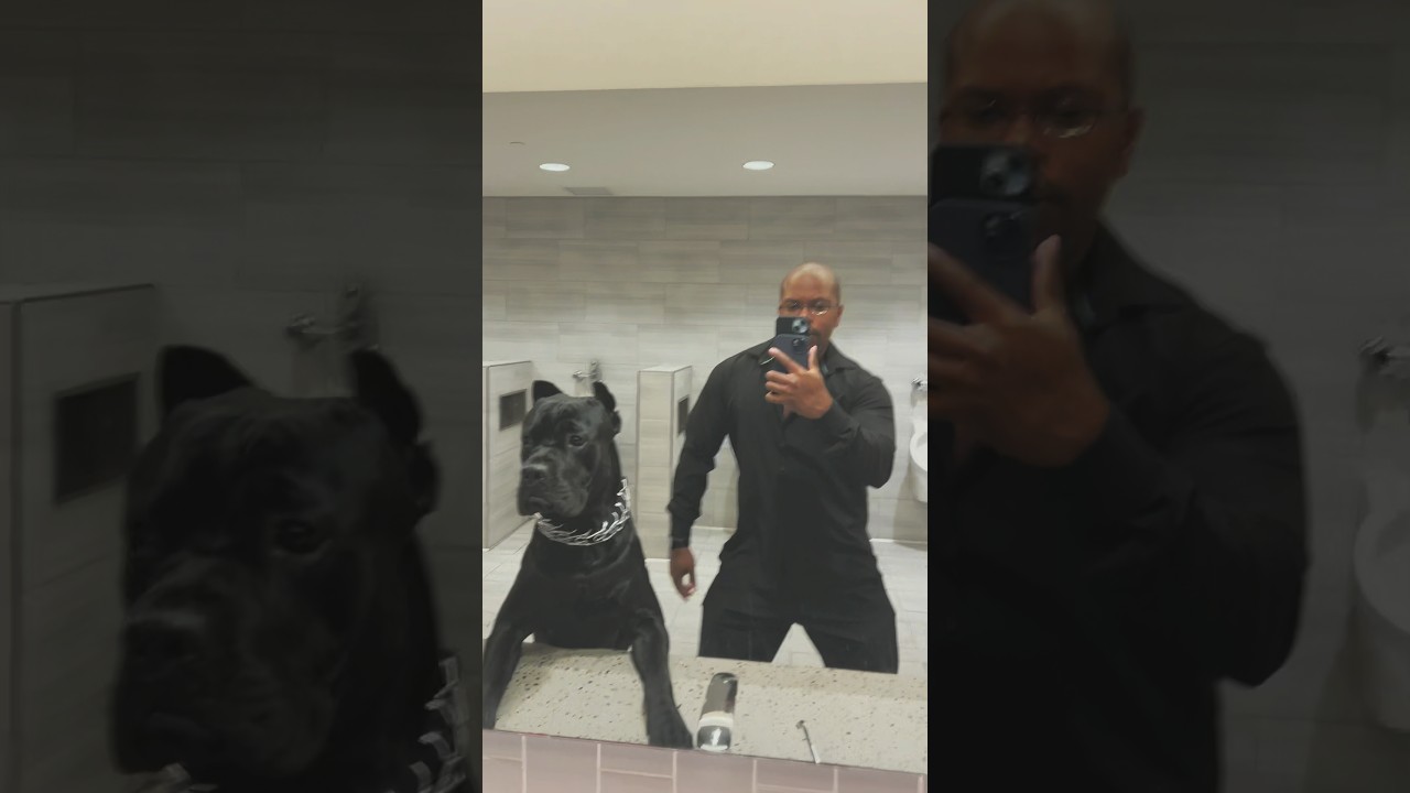 Bathroom concerts hit different with your dog 🐶🐾 